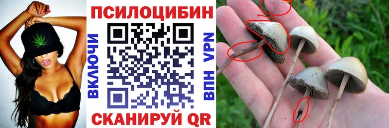 Купить  Звенигород  Галлюциногенные грибы мицелий 